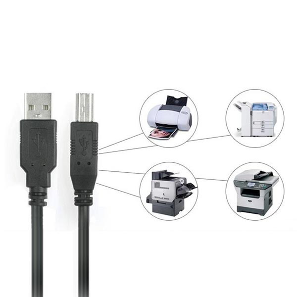 دیاگرام : کابل پرینتر USB2.0 AM به USB2.0 BM وی نت طول 5 متر